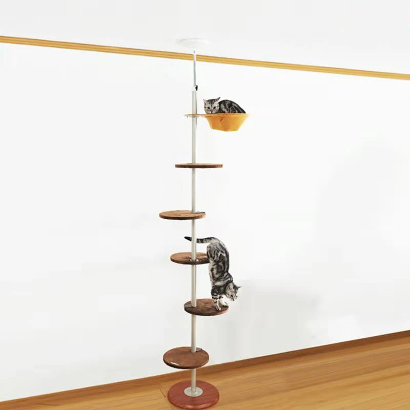 large cat climbing frames