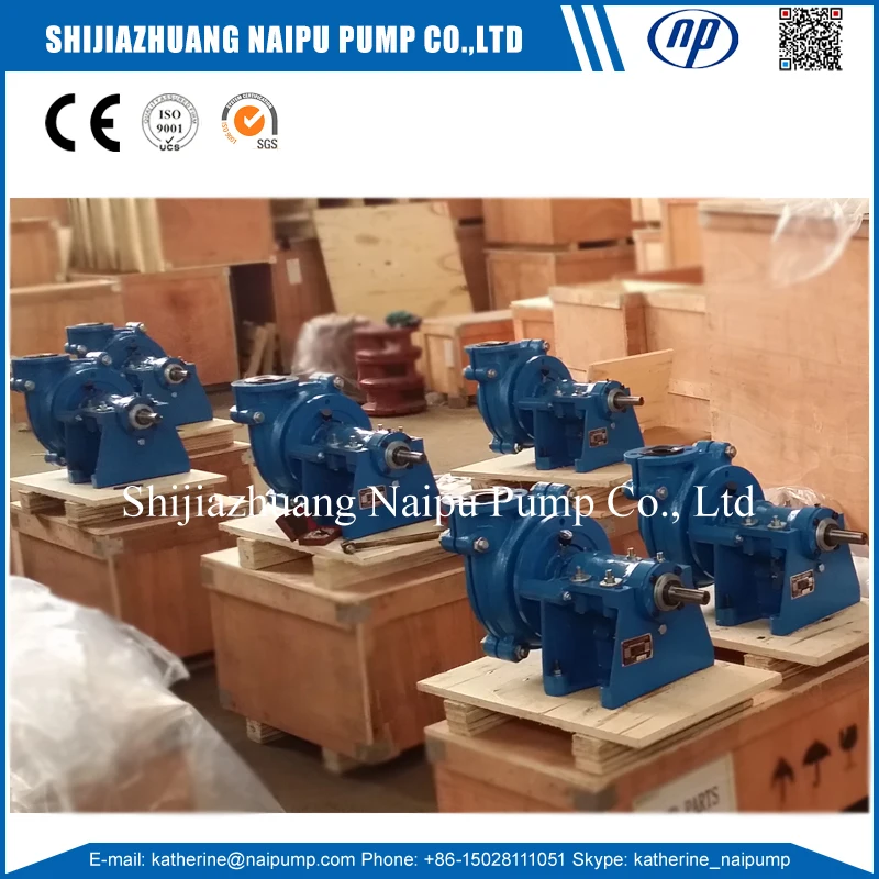 R55 Rubber Liner Pump
