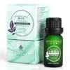 wholesale pure essential oil tea tree oil private label