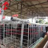 galvanized nigeria poultry farm sample chickens feeds production equipment automatic feeding system for livestock