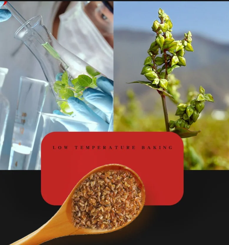 huantaiWhole germ1.png