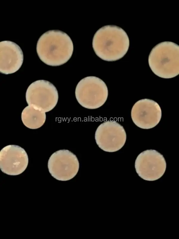 round spot.jpg