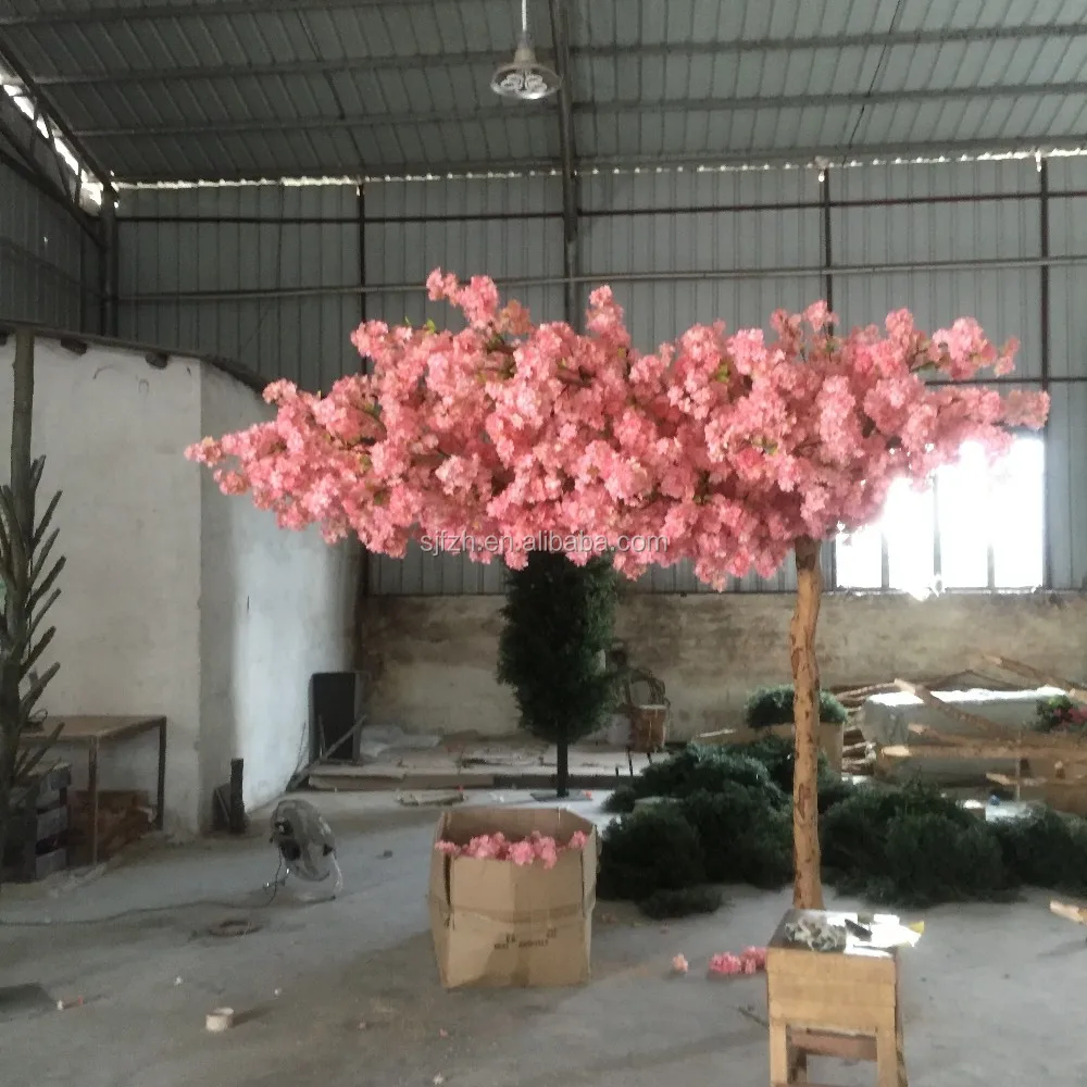 cherry flower tree (14).JPG