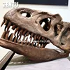 Simulation playground dinosaur fossil museums dinosaur bones
