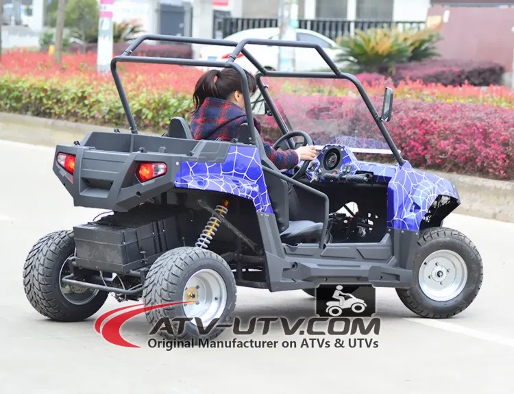 Utv 1000cc 1000w Electric Utv 2 Seats 2wd Or 4wd 4x4 Epa Dot Eec Coc