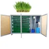best quality professional manufacturer maize/barley/corn fodder sprouting machine
