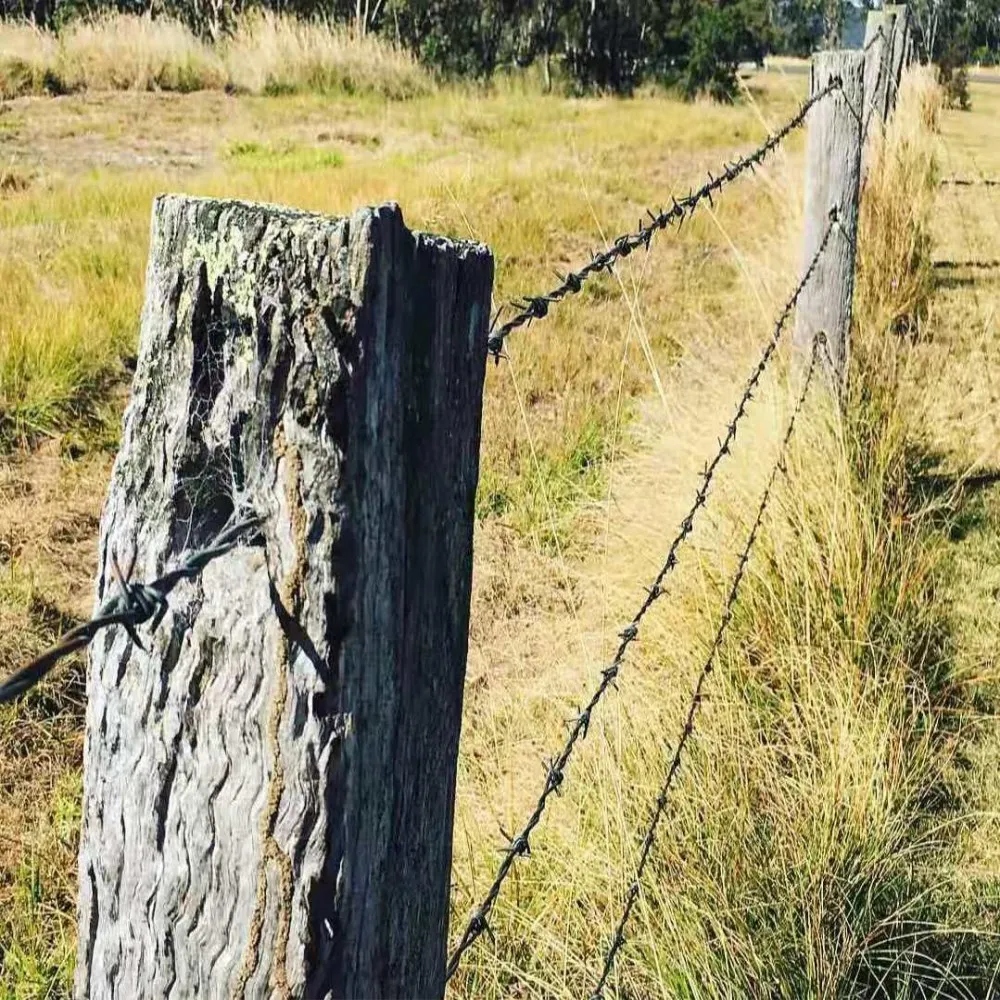 barbed wire (19)