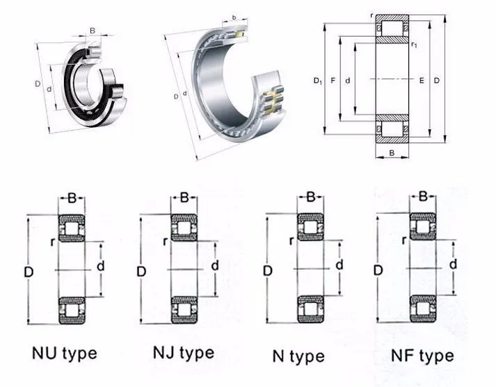 Cylindrical Roller Bearings NF