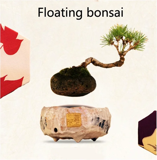 cheap floating bonsai tree price bonsai tool set carbon steel