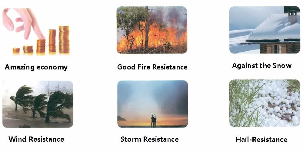 Characteristics.jpg