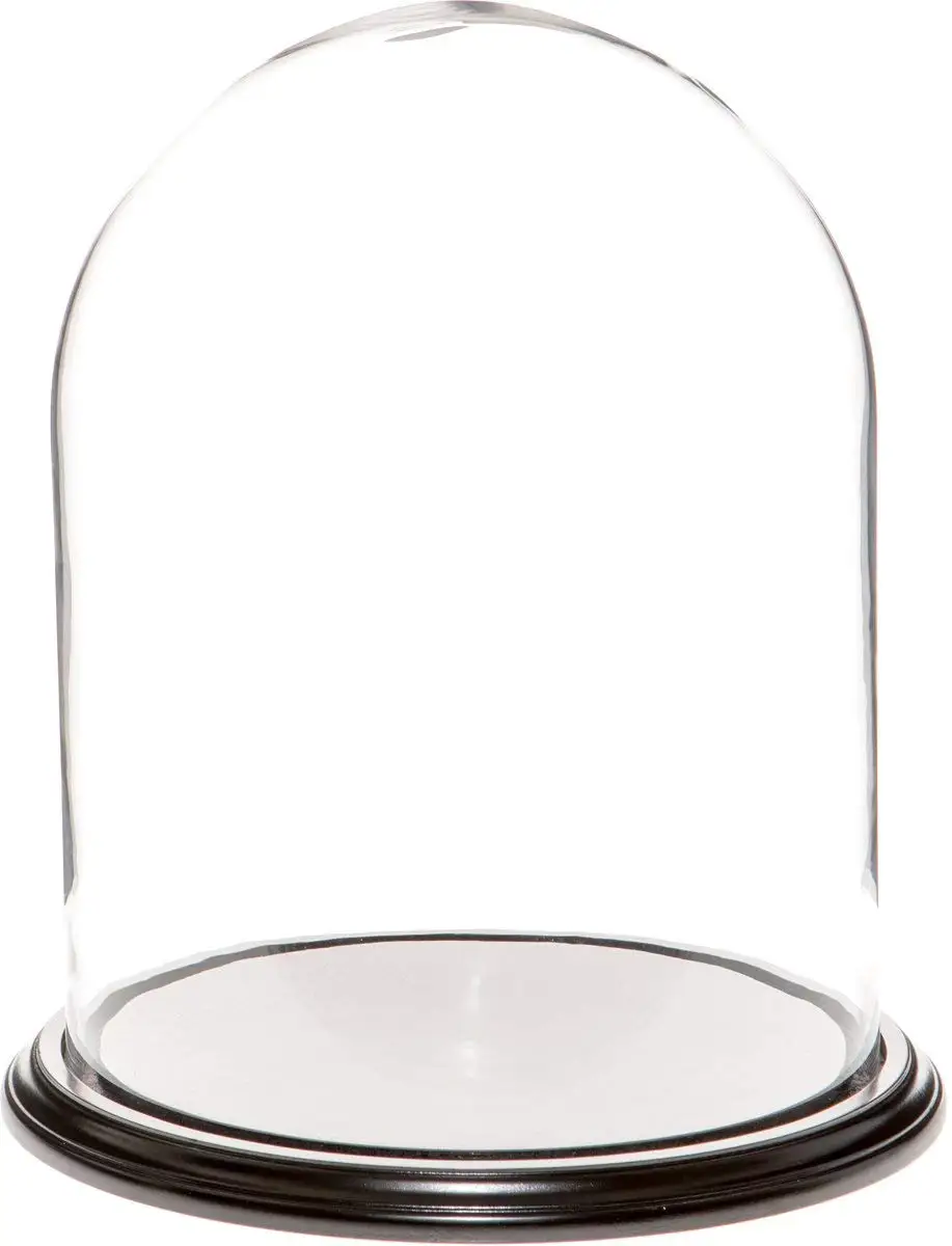 CLEAR GLASS BELL JAR (3).jpg