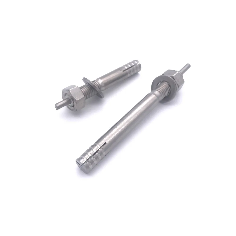 Factory 316 304 Stainless Steel Hit Anchors Hammer Drive Nail Anchors