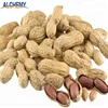 china origin wholesale roasted raw blanched peanuts