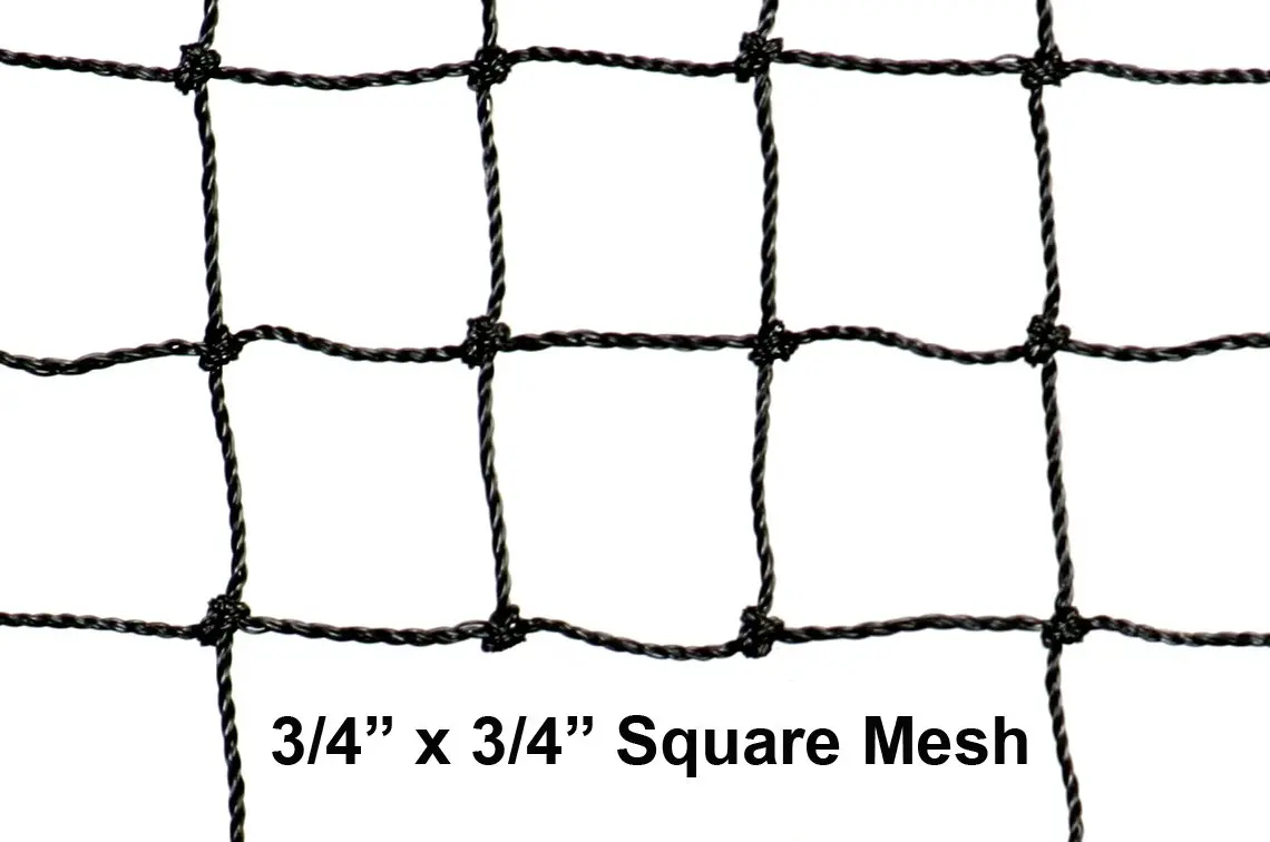 Squaring net. Squaring net