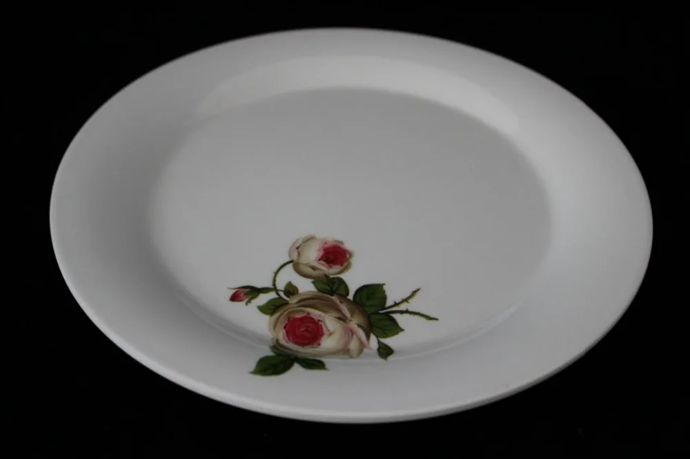 23cm Melamine Dinner Plate Plastic Serving Plate