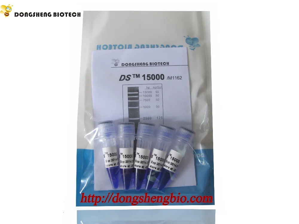 Ds15000 Dna Marker15000bp15kb Ladderoem M1161m1162 Buy Dna Marker