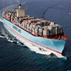 Cheap Sea freight New Route Shipping service from China to Split--Boing selina