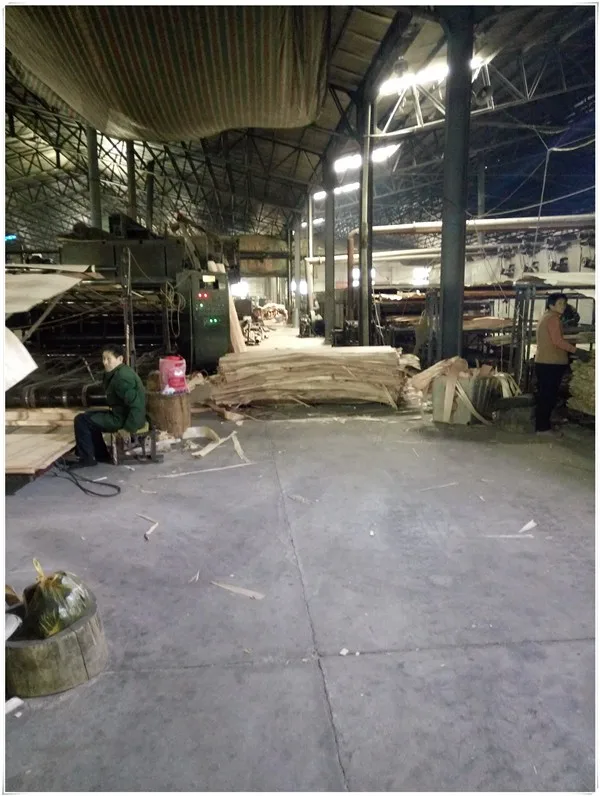 plywood face veneer /okoume wood veneer/veneer brands in india