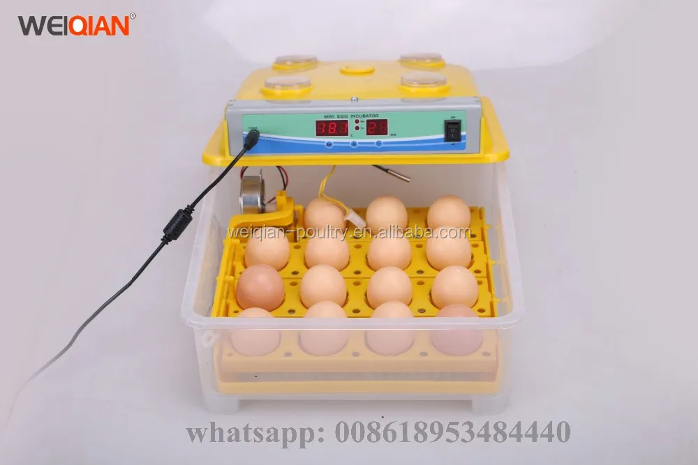 Used egg incubator for sale in uae