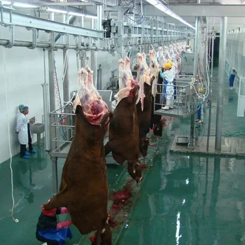 Slaughterhouse Automatic Cattle Slaughter Line Equipment - Buy Cattle ...
