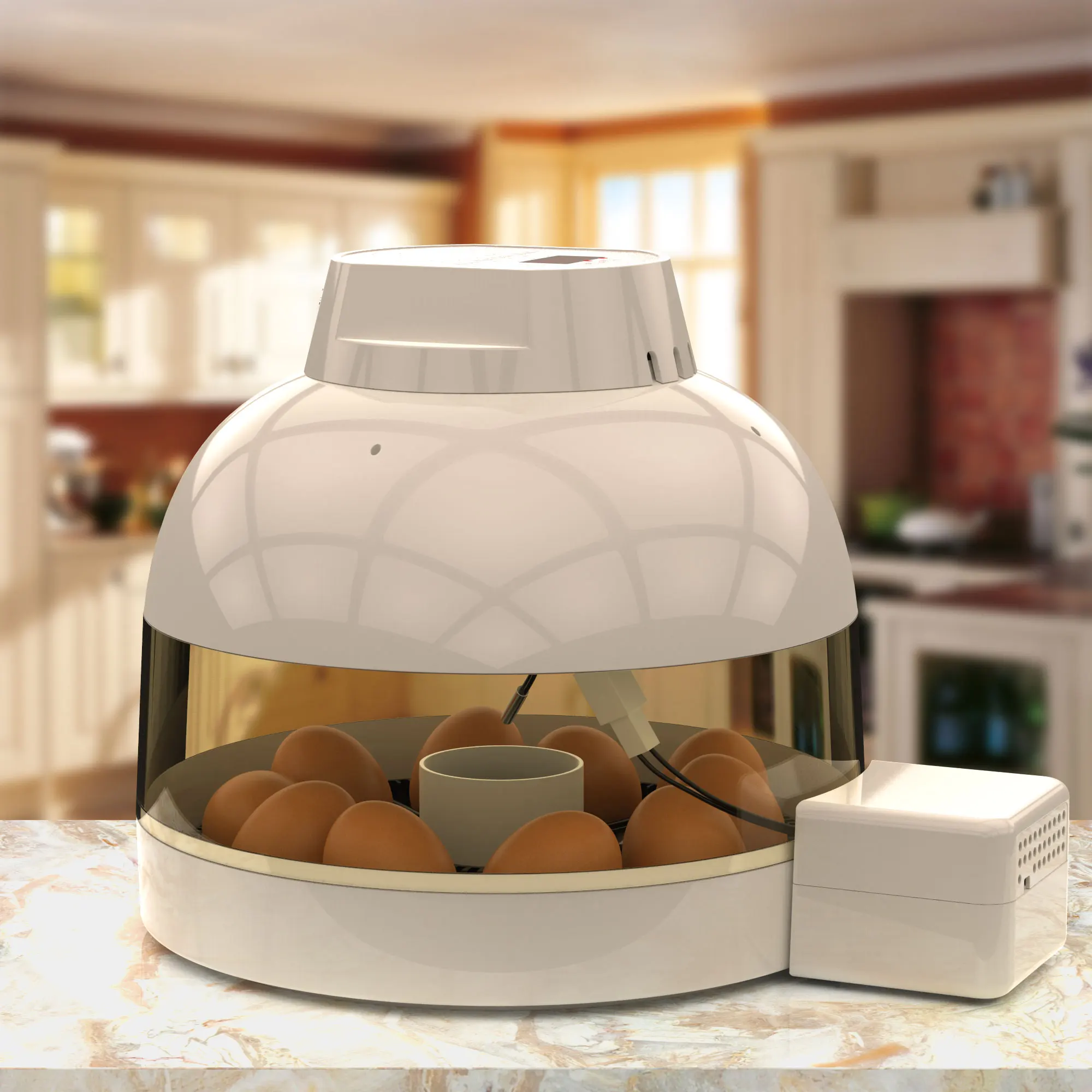 household egg incubator
