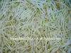 IQF Mung bean Sprouts in Frozen Mung bean Sprouts