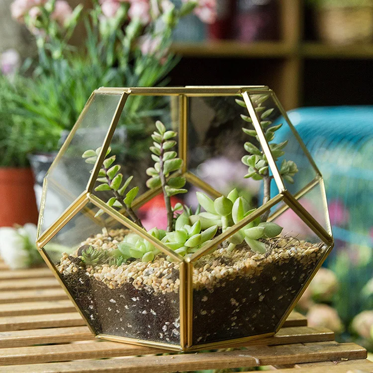 Glass Gold Copper Geometric Terrarium/glass Globe Hanging Terrarium