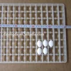 Egg Plastic Tray 88 Chicken Egg Tray Incubator Spare Parts on Sale