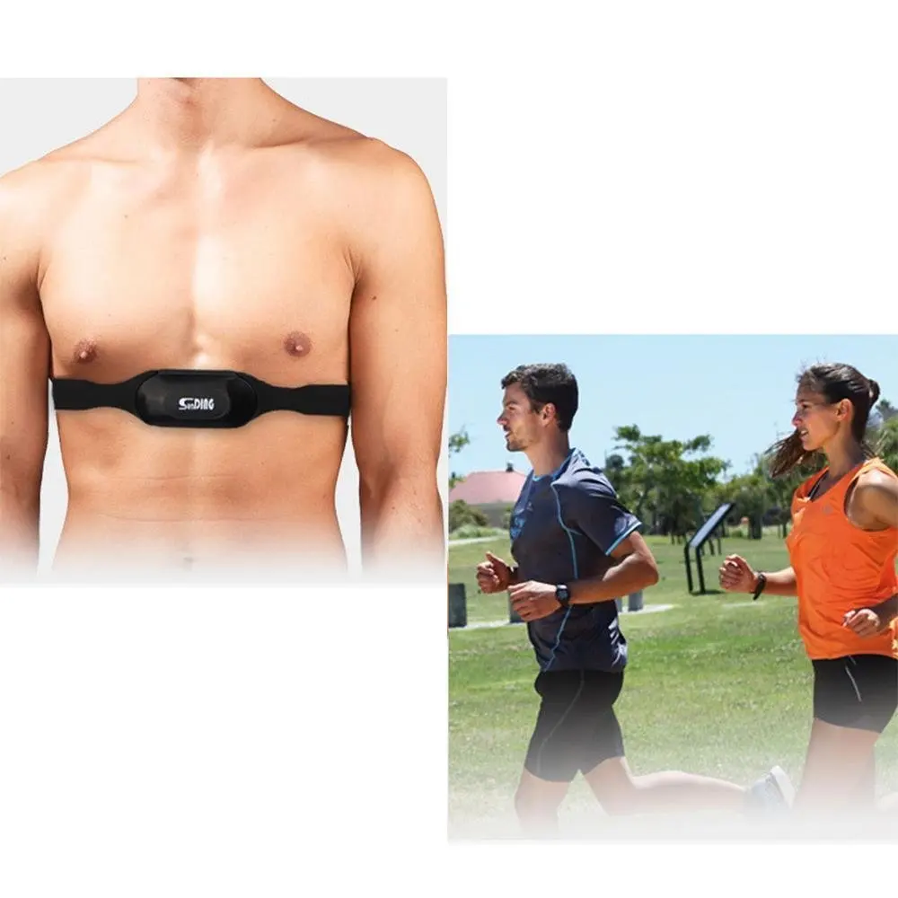 cheap chest heart rate monitor