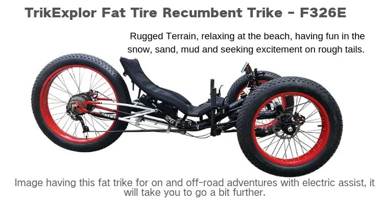 rough terrain 3 wheel electric bike