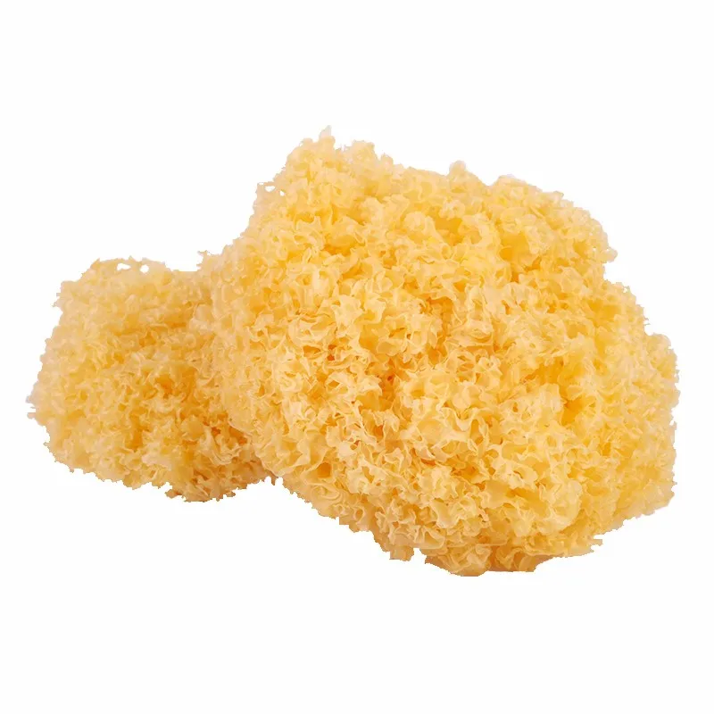 9005 yiner chinese wholesale price edible chinese white fungus