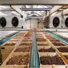 Chinese products sell high-performance great quality tomato cold storage room