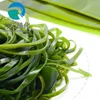 100% nature kelp extract with best quality and competitive price Laminarin /fucoxanthine /fucoidan