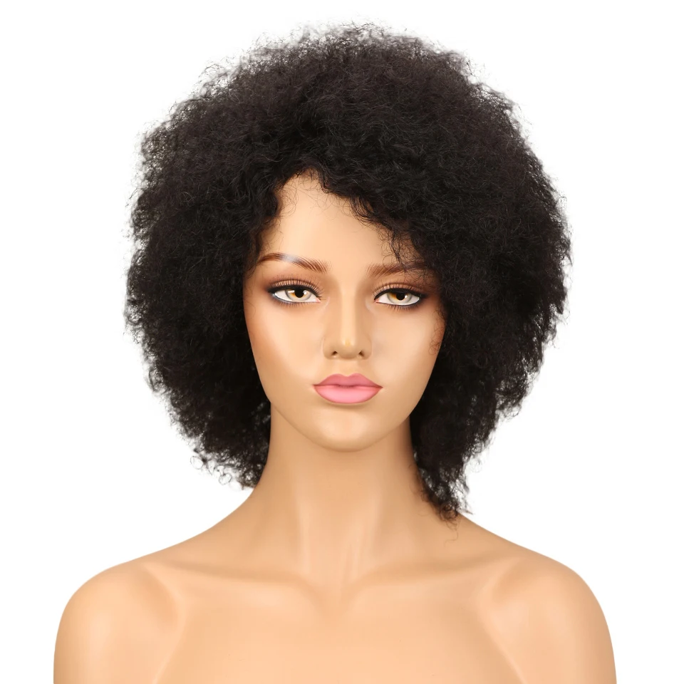 Fashion Afro Kinky Curly Hair Brazilian Human Hair Wigs For Black Women