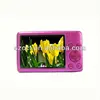 2013 Promotion Digital Camera with 12MP CMOS DC-K708C