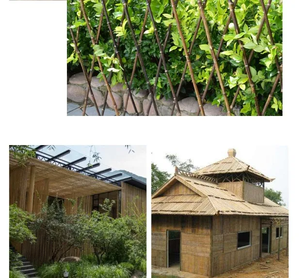 Natural Raw Bamboo Poles For Farmland - Buy Bamboo Poles Sale,Bamboo