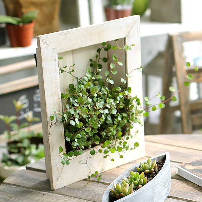 Popular Wall Hanging Flower Pots-Buy Cheap Wall Hanging