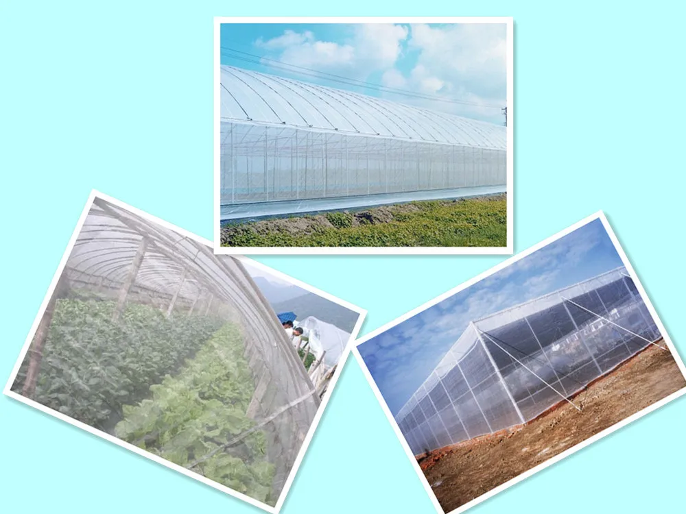 PVC coated fiberglass mosquito Insect Screen roll up window Fly Screen