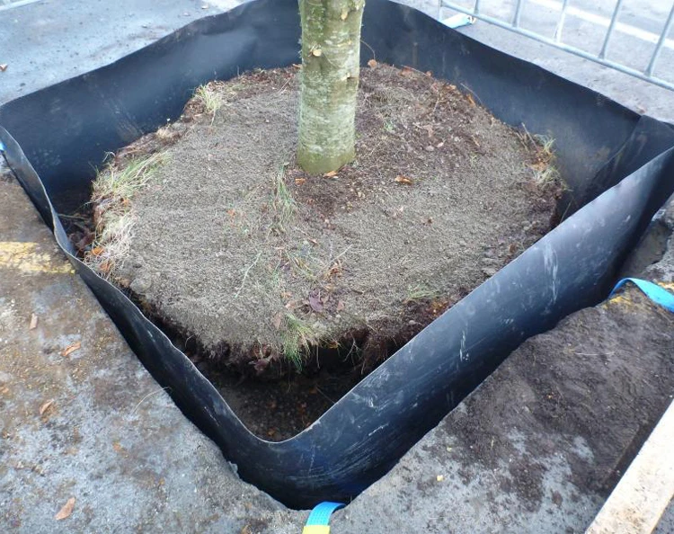 Wholesale Impermeable Hdpe Geomembrane Bamboo Roots Plastic Barrier