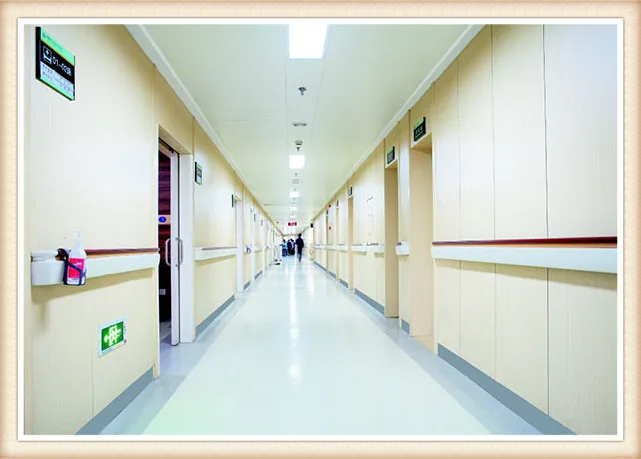 Interior Handrails In Hospital Corridors