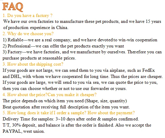 paste-pic-dp_uuid_nxikd