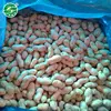 highest quality service pass KOSHER raw clear frozen peanuts in shell