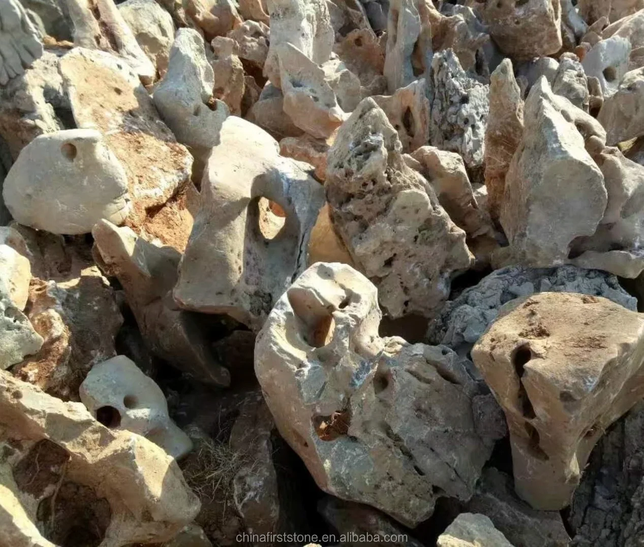 Taihu lake Rock.jpg