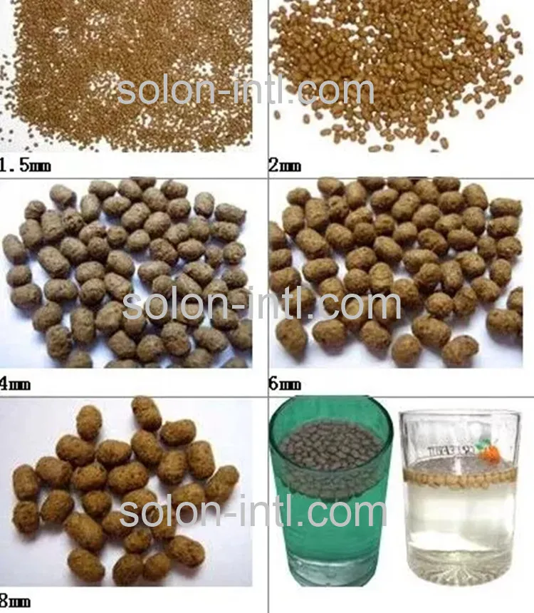 fish food simple_.jpg