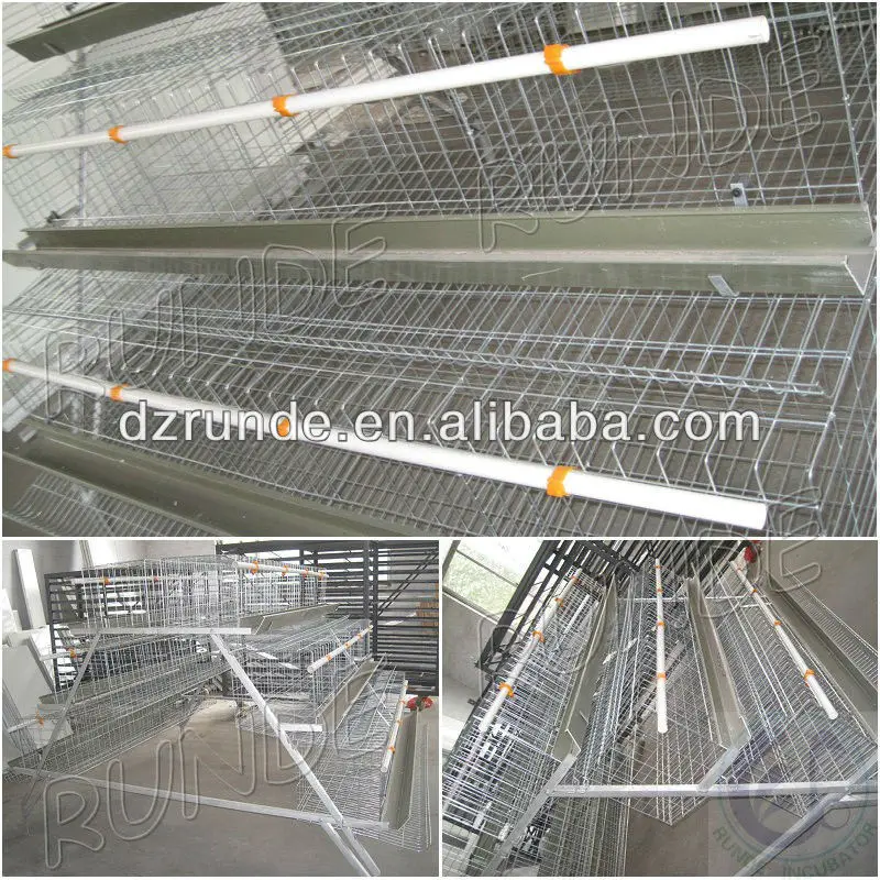 Design Chicken Battery Cage And Chicks Pullets Turkey Eggs Cage