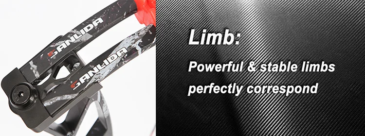 03_2 limb2.png