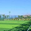 /product-detail/top-rated-artificial-grass-tennis-court-synthetic-turf-suppliers-manufacturers-for-homes-dogs-companies-lawn-squares-roll-62134558337.html