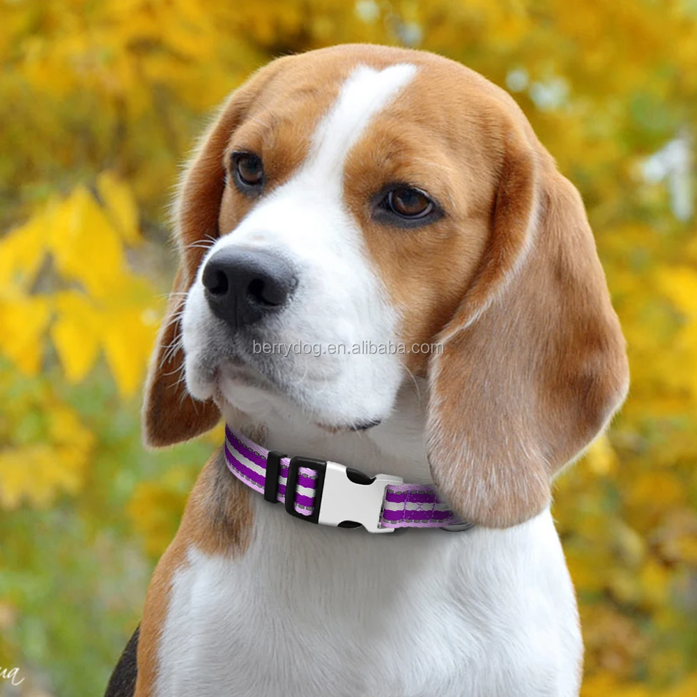 corollary,Corollary的缩写 corollary,Corollary的缩写