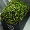 Wholesale Wedding Decoration Flowers Small Leaves Real Touch Hydrangea