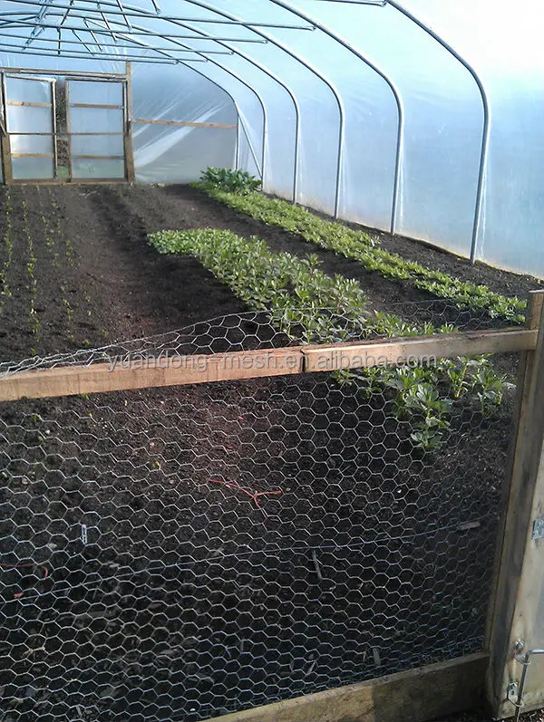 Hexagonal wire netting mesh rabbit netting-25.jpg